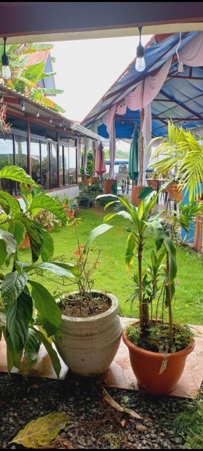 Hotel La Cueva Limon Екстериор снимка